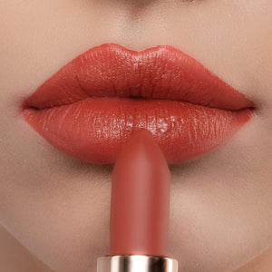 ColorsCalendar-Lipstick-MelodyFantasy- Dream Of Love-Reddish Brown-M14-Lip Detail